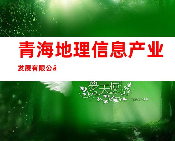 青海地理信息产业发展有限公司